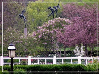 O maior jardm do mundo