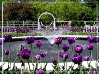 O maior jardm do mundo