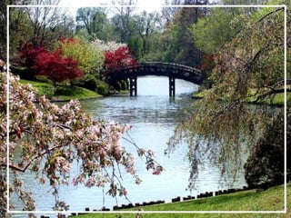 O maior jardm do mundo