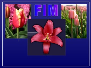 O maior jardm do mundo