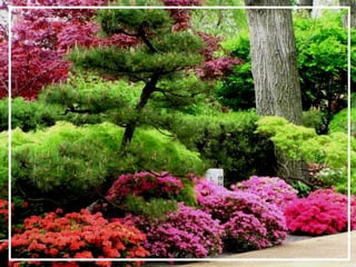 O maior jardm do mundo