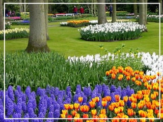 O maior jardm do mundo