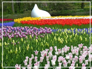 O maior jardm do mundo