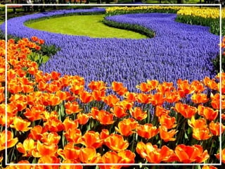 O maior jardm do mundo