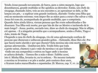 Tendo Jesus passado novamente, de barca, para a outra margem, logo que
desembarcou, grande multidão se lhe apinhou ao derredor. Então, um chefe de
sinagoga, chamado Jairo, veio ao seu encontro e, ao aproximar-se dele, se lhe
lançou aos pés, - a suplicar com grande instância, dizendo: Tenho uma filha que
está no momento extremo; vem impor-lhe as mãos para a curar e lhe salvar a vida.
Jesus foi com ele, acompanhado de grande multidão, que o comprimia.
Quando Jairo ainda falava, vieram pessoas que lhe eram subordinadas e lhe
disseram: Tua filha está morta; por que hás de dar ao Mestre o incômodo de ir
mais longe? - Jesus, porém, ouvindo isso, disse ao chefe da sinagoga: Não te aflijas,
crê apenas. - E a ninguém permitiu que o acompanhasse, senão a Pedro, Tiago e
João, irmão de Tiago.
Chegando a casa do chefe da sinagoga, viu ele uma aglomeração confusa de
pessoas que choravam e soltavam grandes gritos. - Entrando, disse-lhes ele: Por
que fazeis tanto alarido e por que chorais? Esta menina não está morta, está
apenas adormecida. - Zombavam dele. Tendo feito que toda
a gente saísse, chamou o pai e mãe da menina e os que tinham
vindo em sua companhia e entrou no lugar onde a menina
se achava deitada. - Tomou-lhe a mão e disse: Talitha cumi,
isto é: Minha filha, levanta-te, eu to ordeno. - No mesmo instante
a menina se levantou e se pôs a andar, pois contava doze anos,
e ficaram todos maravilhados e espantados. (S. Marcos, cap. V, vv. 21 a 43.)
 