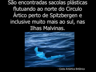 São encontradas sacolas plásticas flutuando ao norte do Circulo Ártico perto de Spitzbergen e inclusive muito mais ao sul, nas Ilhas Malvinas. - Costa Antártica Britânica 