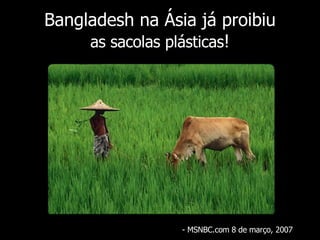 Bangladesh na Ásia já proibiu as sacolas plásticas ! - MSNBC.com 8 de  março , 2007 