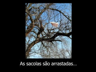As sacolas são arrastadas… 