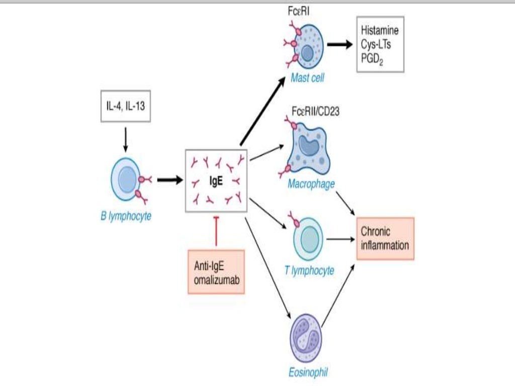 Omalizumab