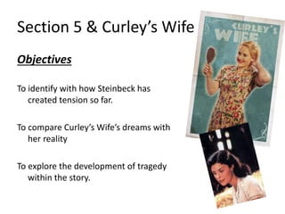 Objective Curly OMAM | PDF