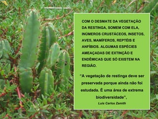 COM O DESMATE DA VEGETAÇÃO
 DA RESTINGA, SOMEM COM ELA,
 INÚMEROS CRUSTÁCEOS, INSETOS,
 AVES, MAMÍFEROS, REPTÉIS E
 ANFÍBIOS. ALGUMAS ESPÉCIES
 AMEAÇADAS DE EXTINÇÃO E
 ENDÊMICAS QUE SÓ EXISTEM NA
 REGIÃO.

“A vegetação de restinga deve ser
preservada porque ainda não foi
estudada. É uma área de extrema
        biodiversidade”,
           Luis Carlos Zamith
 