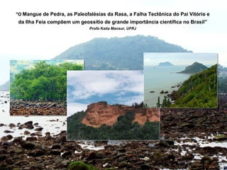 “O Mangue de Pedra, as Paleofalésias da Rasa, a Falha Tectônica do Pai Vitório e
 da Ilha Feia compõem um geossítio de grande importância científica no Brasil”
                              Profα Katia Mansur, UFRJ
 