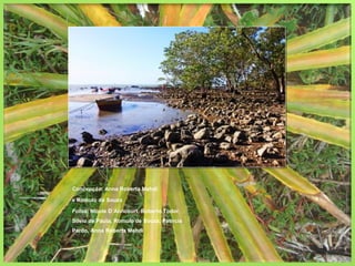 Concepção: Anna Roberta Mehdi

e Romulo de Souza

Fotos: Nicole D´Alincourt, Roberto Todor,
Silvio de Paula, Romulo de Souza, Patricia
Pardo, Anna Roberta Mehdi
 