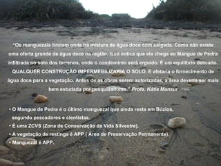 “Os manguezais brotam onde há mistura de água doce com salgada. Como não existe
uma oferta grande de água doce na região, isso indica que ela chega ao Mangue de Pedra
infiltrada no solo dos terrenos, onde o condomínio será erguido. É um equilíbrio delicado.
 QUALQUER CONSTRUÇÃO IMPERMEBILIZARIA O SOLO. E afetaria o fornecimento de
água doce para a vegetação. Antes de as obras serem autorizadas, a área deveria ser mais
                 bem estudada por pesquisadores." Profa. Kátia Mansur



• O Mangue de Pedra é o último manguezal que ainda resta em Búzios,
 segundo pescadores e cientistas.
• É uma ZCVS (Zona de Conservação da Vida Silvestre).
• A vegetação de restinga é APP ( Área de Preservação Permanente).
• Manguezal é APP.
 