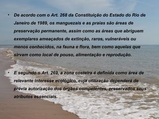 •   De acordo com o Art. 268 da Constituição do Estado do Rio de
    Janeiro de 1989, os manguezais e as praias são áreas de
    preservação permanente, assim como as áreas que abriguem
    exemplares ameaçados de extinção, raros, vulneráveis ou
    menos conhecidos, na fauna e flora, bem como aquelas que
    sirvam como local de pouso, alimentação e reprodução.



•   E segundo o Art. 269, a zona costeira é definida como área de
    relevante interesse ecológico, cuja utilização dependerá de
    prévia autorização dos órgãos competentes, preservados seus
    atributos essenciais.
 