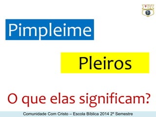 Pimpleime 
Pleiros 
O que elas significam? 
Comunidade Com Cristo – Escola Bíblica 2014 2º Semestre 
 