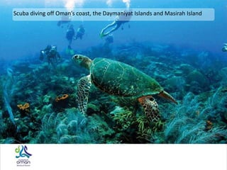 Scuba diving off Oman’s coast, the Daymaniyat Islands and Masirah Island
 