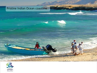 Pristine Indian Ocean coastline
 
