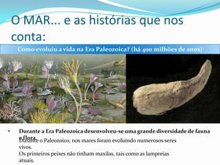 O MAR... e as histórias que nos
conta:
Como evoluiu a vida na Era Paleozoica? (há 400 milhões de anos)

•

Durante a Era Paleozoica desenvolveu-se uma grande diversidade de fauna
e flora. o Paleozoico, nos mares foram evoluindo numerosos seres
Durante
vivos.
Os primeiros peixes não tinham maxilas, tais como as lampreias
atuais.

 