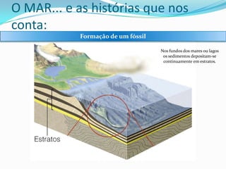 O MAR... e as histórias que nos
conta:
Formação de um fóssil
Nos fundos dos mares ou lagos
os sedimentos depositam-se
continuamente em estratos.

 