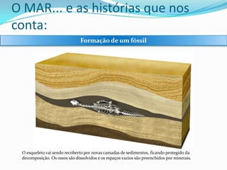 O MAR... e as histórias que nos
conta:
Formação de um fóssil

O esqueleto vai sendo recoberto por novas camadas de sedimentos, ficando protegido da
decomposição. Os ossos são dissolvidos e os espaços vazios são preenchidos por minerais.

 