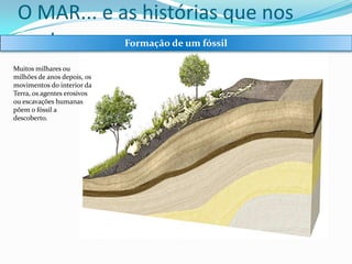 O MAR... e as histórias que nos
conta:
Formação de um fóssil
Muitos milhares ou
milhões de anos depois, os
movimentos do interior da
Terra, os agentes erosivos
ou escavações humanas
põem o fóssil a
descoberto.

 