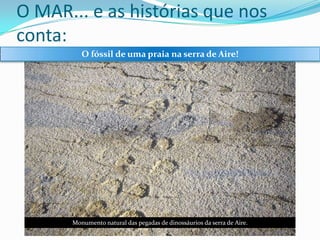O MAR... e as histórias que nos
conta:
O fóssil de uma praia na serra de Aire!

Monumento natural das pegadas de dinossáurios da serra de Aire.

 