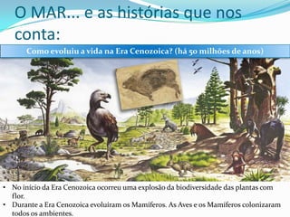 O MAR... e as histórias que nos
conta:
Como evoluiu a vida na Era Cenozoica? (há 50 milhões de anos)

• No início da Era Cenozoica ocorreu uma explosão da biodiversidade das plantas com
flor.
• Durante a Era Cenozoica evoluíram os Mamíferos. As Aves e os Mamíferos colonizaram
todos os ambientes.

 