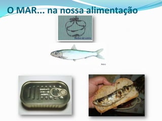 O MAR... na nossa alimentação

 