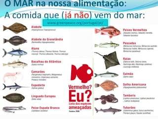 O MAR na nossa alimentação:
A comida que (já não) vem do mar:
www.greenpeace.org/portugal/pt/

 