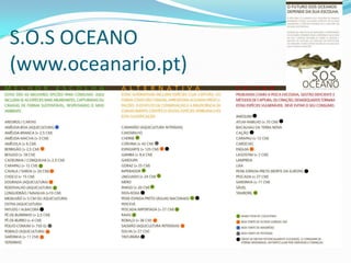 S.O.S OCEANO
(www.oceanario.pt)

 