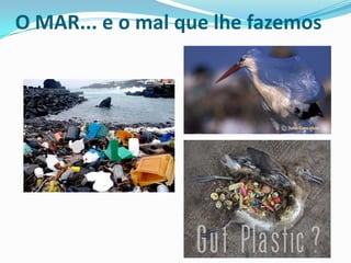 O MAR... e o mal que lhe fazemos

 