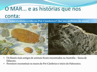 O MAR... e as histórias que nos
conta:
Como evoluiu a vida no Pré-Câmbrico? (há 700 milhões de anos)

• Os fósseis mais antigos de animais foram encontrados na Austrália – fauna de
Ediacara.
• Permitem reconstituir os mares do Pré-Câmbrico e início do Paleozoico.

 