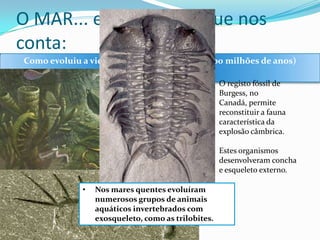 O MAR... e as histórias que nos
conta:
Como evoluiu a vida na Era Paleozoica? (há 3500 milhões de anos)
• O registo fóssil de
Burgess, no
Canadá, permite
reconstituir a fauna
característica da
explosão câmbrica.
• Estes organismos
desenvolveram concha
e esqueleto externo.
•

Nos mares quentes evoluíram
numerosos grupos de animais
aquáticos invertebrados com
exosqueleto, como as trilobites.

 