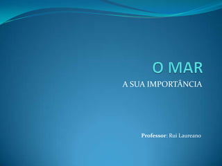 A SUA IMPORTÂNCIA

Professor: Rui Laureano

 