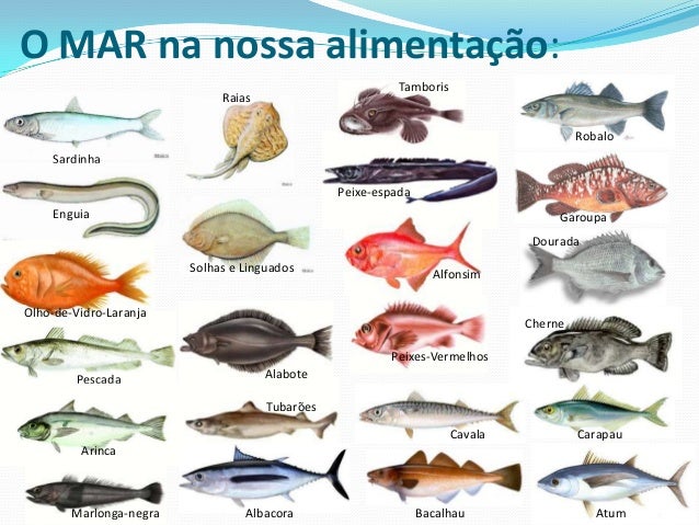 O Mar Prof Rui Laureano