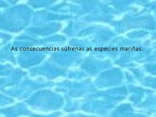 As consecuencias súfrenas as especies mariñas.
 
