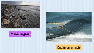 Marés negras
Redes de arrasto
 