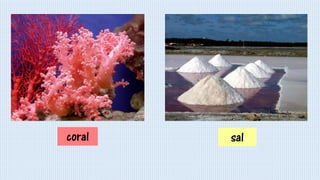 coral sal
 