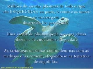 As tartarugas marinhas confundem-nas com as medusas e  as comem, afogando-se na tentativa de engoli-las.   Milhões de sacolas plásticas de todo o tipo  são ESQUECIDAS na praia, o vento e as marés se encarregam  de arrastá-los para o mar.   Uma sacola de plástico pode navegar várias dezenas de anos sem se degradar. Foto: Instituto PURA in: Segredos do Mar 