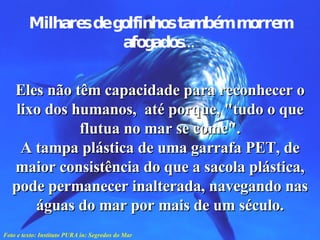 Milhares de golfinhos também morrem afogados...   Eles não têm capacidade para reconhecer o lixo dos humanos,  até porque, "tudo o que flutua no mar se come". A tampa plástica de uma garrafa PET, de maior consistência do que a sacola plástica, pode permanecer inalterada, navegando nas águas do mar por mais de um século. Foto e texto: Instituto PURA in: Segredos do Mar 