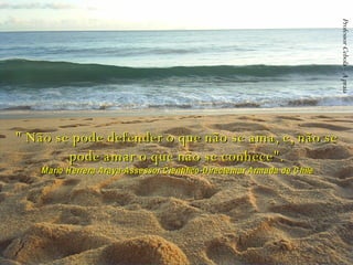 " Não se pode defender o que não se ama, e, não se pode amar o que não se conhece". Professor Cebola – A praia Mario Herrera Araya-Assessor Científico-Directemar Armada de Chile 