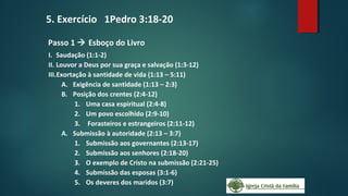 Passo 1  Esboço do Livro
I. Saudação (1:1-2)
II. Louvor a Deus por sua graça e salvação (1:3-12)
III.Exortação à santidade de vida (1:13 – 5:11)
A. Exigência de santidade (1:13 – 2:3)
B. Posição dos crentes (2:4-12)
1. Uma casa espiritual (2:4-8)
2. Um povo escolhido (2:9-10)
3. Forasteiros e estrangeiros (2:11-12)
A. Submissão à autoridade (2:13 – 3:7)
1. Submissão aos governantes (2:13-17)
2. Submissão aos senhores (2:18-20)
3. O exemplo de Cristo na submissão (2:21-25)
4. Submissão das esposas (3:1-6)
5. Os deveres dos maridos (3:7)
5. Exercício 1Pedro 3:18-20
 