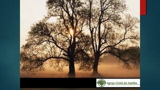 Hermenêutica x Exegese