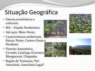 Situação Geográfica
 Fatores econômicos e
    culturais;
   MA – Estado Nordestino;
   Até 1970: Meio-Norte;
   Características ambientais
    físicas: Norte, Centro-Oeste e
    Nordeste.
   Floresta Amazônica,
    Cerrado, Caatinga (Carrasco)
    Manguezais, Chapadas.
   Região de Transição, Pré-
    Amazônia, Amazônia Legal*.
 