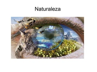Naturaleza
 