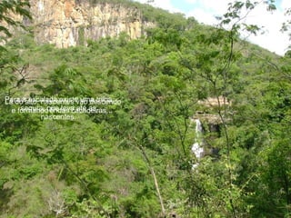 Para aalto, nascentes vão descendo
Lá do escalada existe uma trilha
  e formandoque leva até as
     segura, lindas cachoeiras...
            nascentes.
 
