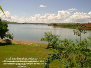 ... E, com isso, várias o Lago de
     Como toda hidrelétrica, espéciesde peixes,
...Belezas naturais desapareceram, como as
mamíferos, pássaros,vários impactos vegetais e
       Furnas causou primatas, insetos,
 etc, perderam ambientais...magnífico milhares de
   corredeiras e suas casas naturais de Rio
                 canyons do
                    Grande.
                        anos...
 
