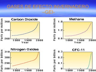 GASES DE EFECTO INVERNADERO  –GEI- 