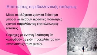 Μέσα σε ελάχιστο χρονικό διάστημα
μπορεί να πέσουν τεράστιες ποσότητες
χιονιού παραλύοντας έτσι ολόκληρες
εκτάσεις.
Περιοχές με έντονη βλάστηση θα
καλυφθούν με χιόνι προκαλώντας την
υποανάπτυξη των φυτών.
Επιπτώσεις περιβαλλοντικής απόψεως:
 